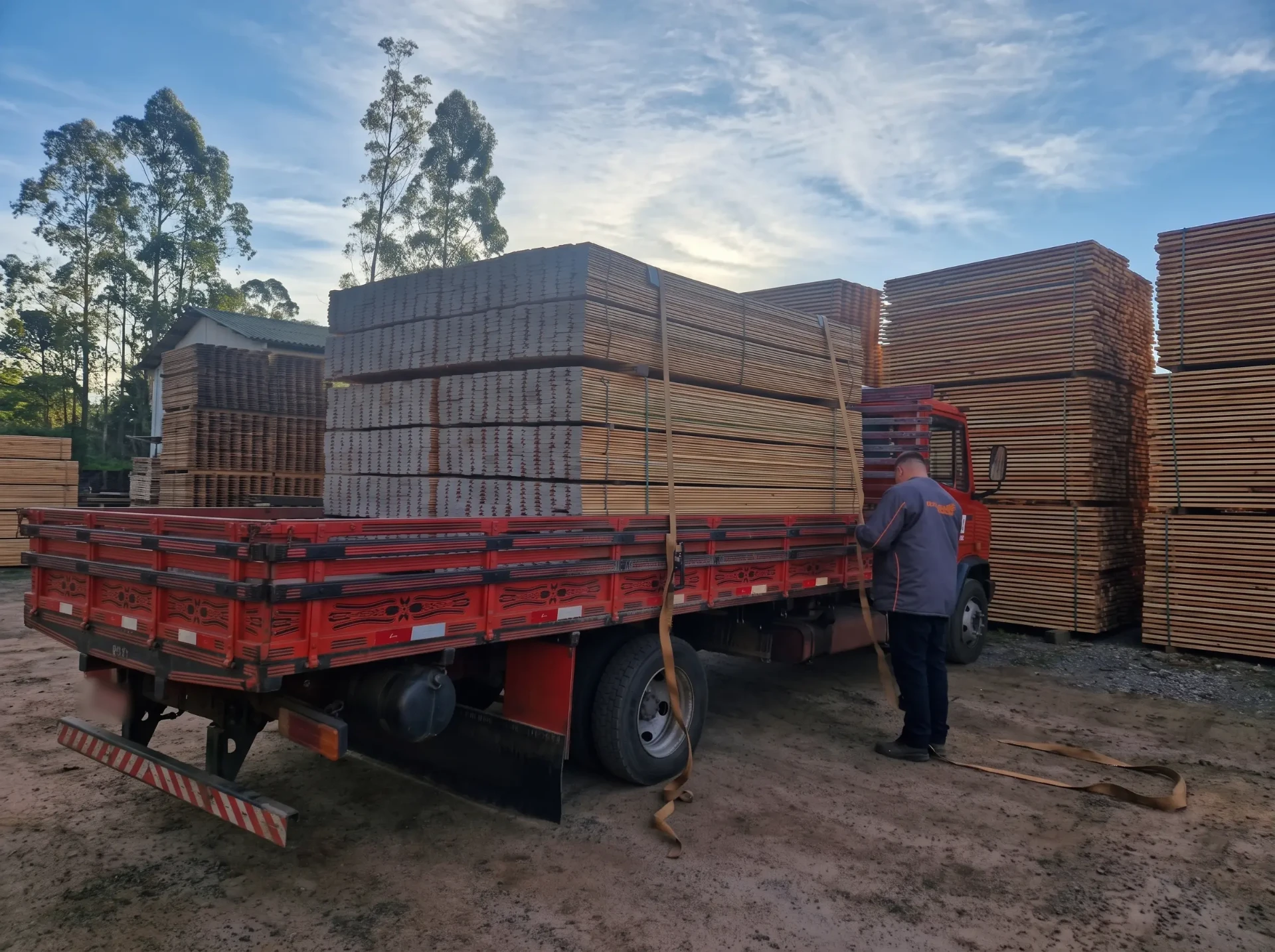 Funcionário da Sulmad amarrando a carga de madeira na carroceria do caminhão